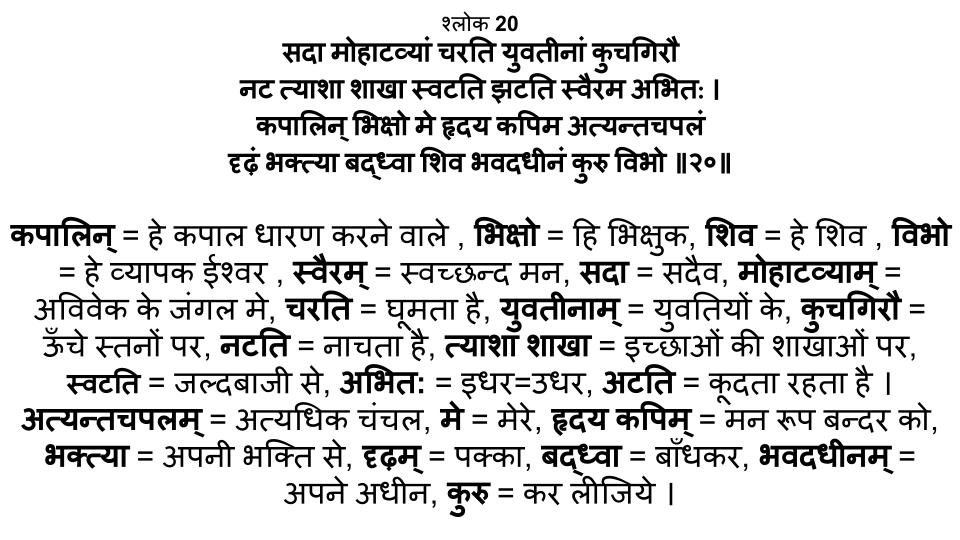 शिवानन्द लहरी श्लोक 20 