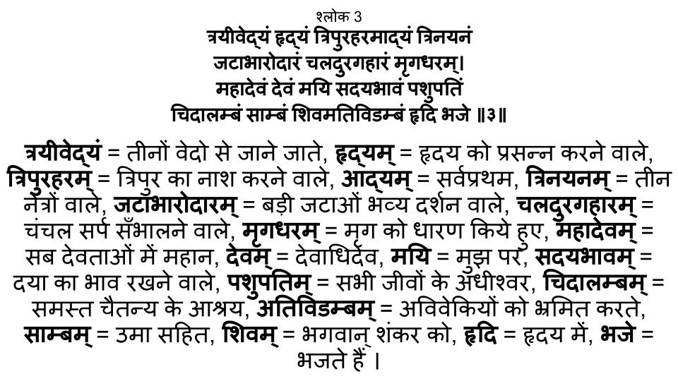 शिव आनंद लहरी श्लोक - 3