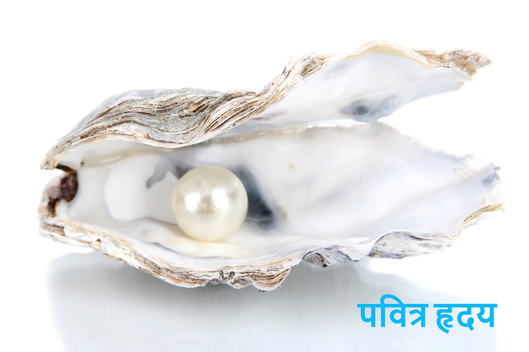 मेरे अन्तःस्थल का पवित्र क्षेत्र 