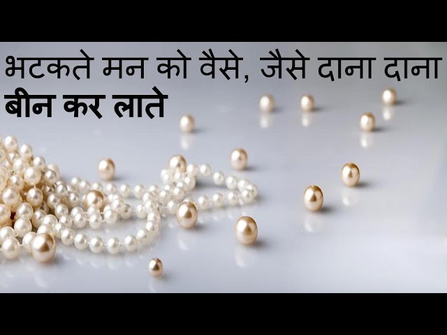 भटकते मन को वैसे जैसे दाना दाना बीन कर लाते